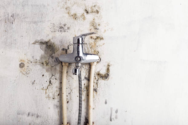 Best Health and Safety Mold Remediation in Oakland, CA