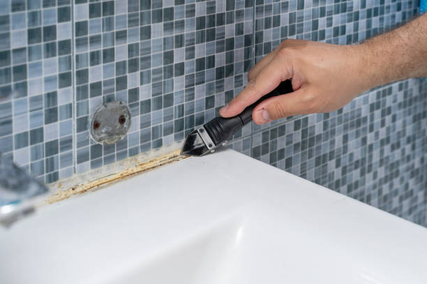 Best Residential Mold Remediation in Oakland, CA